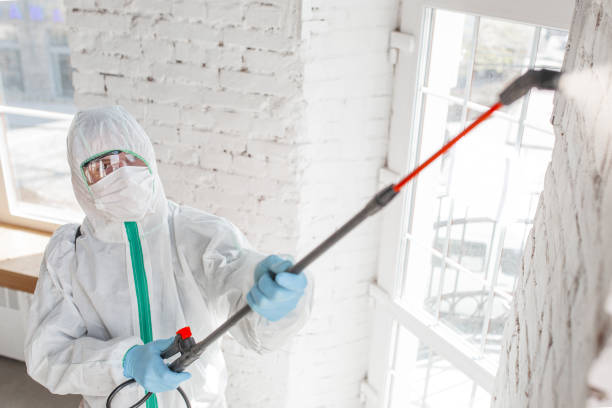 Best Mold Removal for HVAC Installations  in Washington, UT