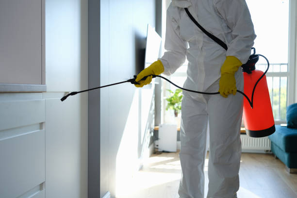 Best Mold Prevention Services  in Washington, UT